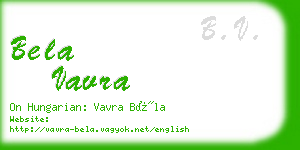 bela vavra business card
